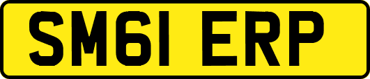 SM61ERP