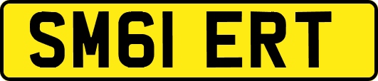 SM61ERT
