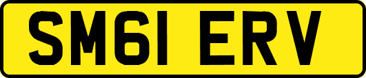 SM61ERV