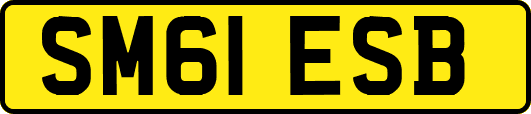 SM61ESB