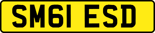 SM61ESD