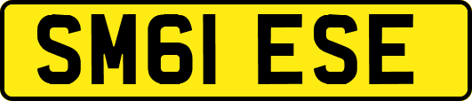SM61ESE