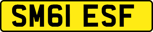 SM61ESF