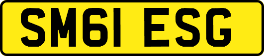 SM61ESG