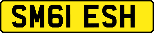 SM61ESH