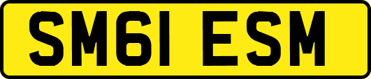 SM61ESM