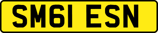 SM61ESN