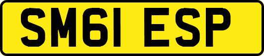 SM61ESP