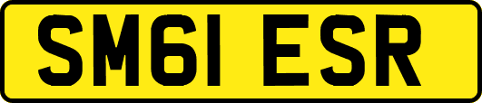 SM61ESR