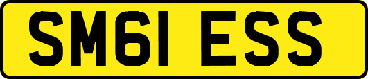 SM61ESS