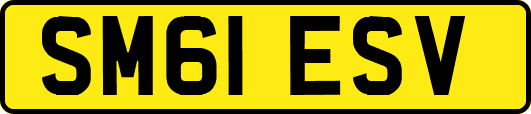 SM61ESV