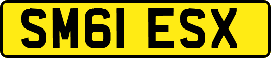 SM61ESX