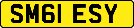SM61ESY