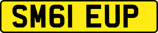 SM61EUP