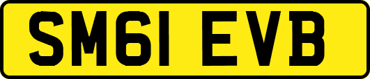 SM61EVB