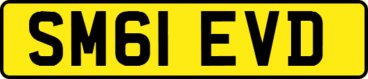 SM61EVD