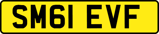 SM61EVF