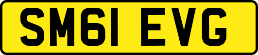 SM61EVG
