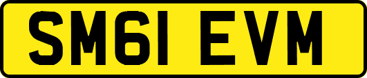 SM61EVM