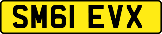 SM61EVX