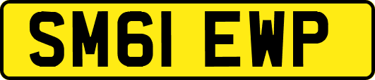 SM61EWP