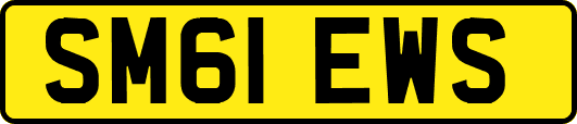 SM61EWS
