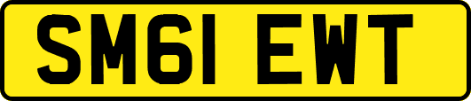 SM61EWT