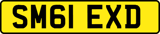 SM61EXD
