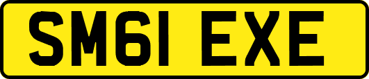 SM61EXE