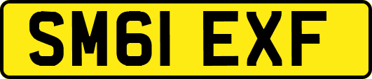 SM61EXF