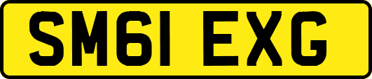 SM61EXG