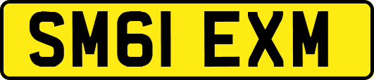 SM61EXM
