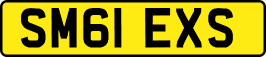 SM61EXS