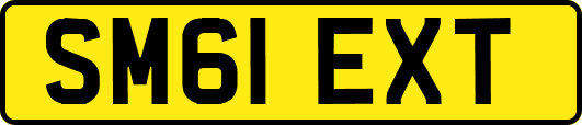 SM61EXT