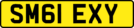 SM61EXY