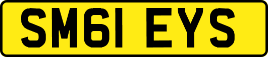 SM61EYS