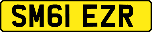 SM61EZR