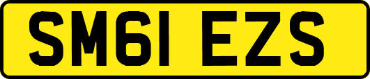 SM61EZS