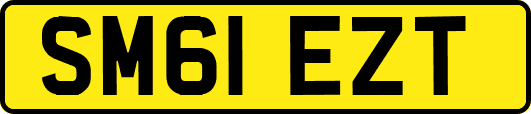 SM61EZT