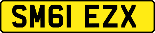 SM61EZX