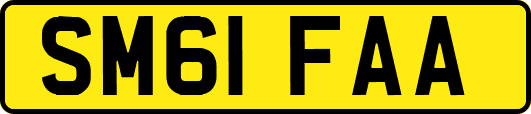 SM61FAA