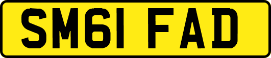 SM61FAD
