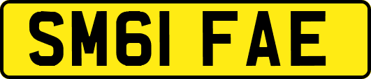 SM61FAE