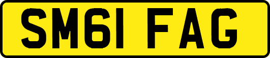 SM61FAG
