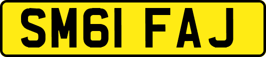 SM61FAJ