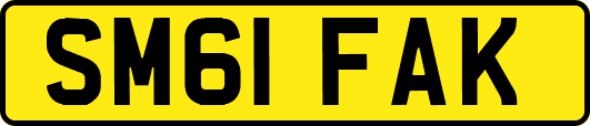SM61FAK