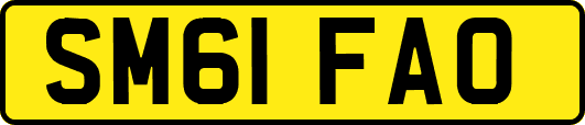 SM61FAO