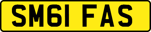SM61FAS