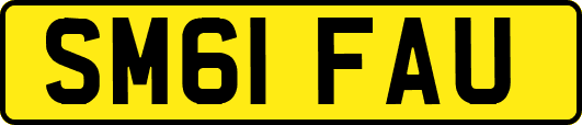 SM61FAU