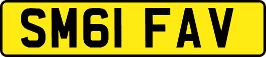 SM61FAV